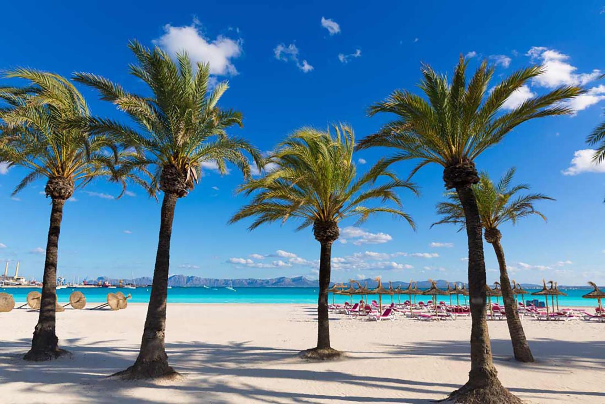 Apartment Blue View Port de Alcudia  Dış mekan fotoğraf